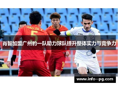 肖智加盟广州豹一队助力球队提升整体实力与竞争力