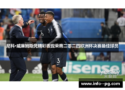 尼科·威廉姆斯凭精彩表现荣膺二零二四欧洲杯决赛最佳球员